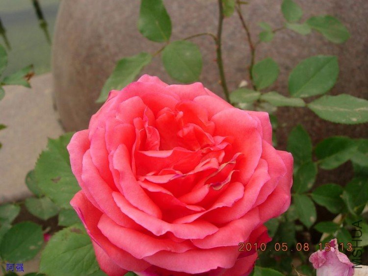 nEO_IMG_�¼���չ 119.jpg