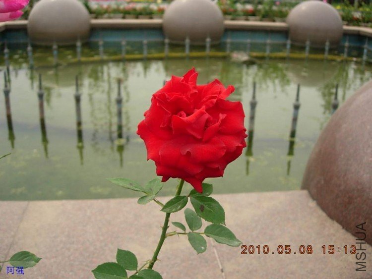 nEO_IMG_�¼���չ 117.jpg
