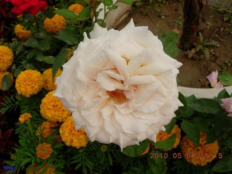 nEO_IMG_�¼���չ 128.jpg