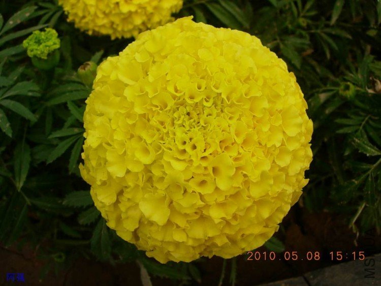 nEO_IMG_�¼���չ 129.jpg