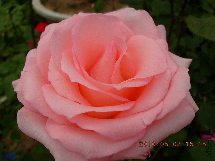nEO_IMG_�¼���չ 126.jpg