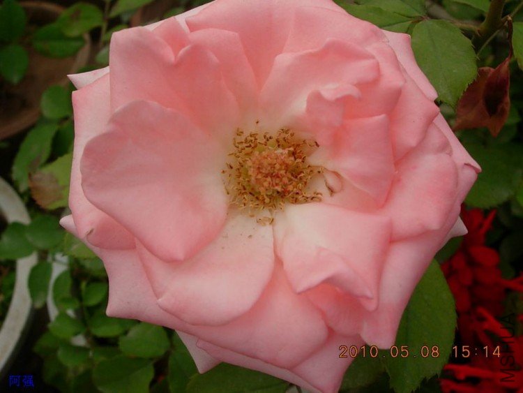 nEO_IMG_�¼���չ 124.jpg