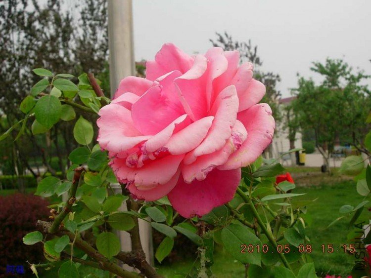 nEO_IMG_�¼���չ 127.jpg
