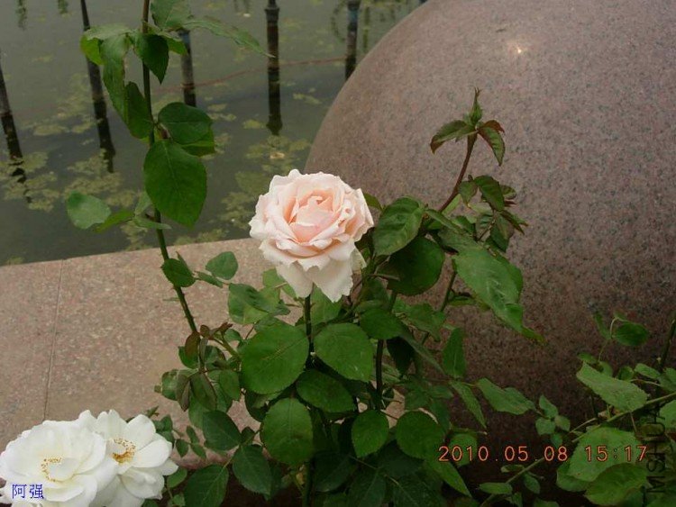 nEO_IMG_�¼���չ 135.jpg