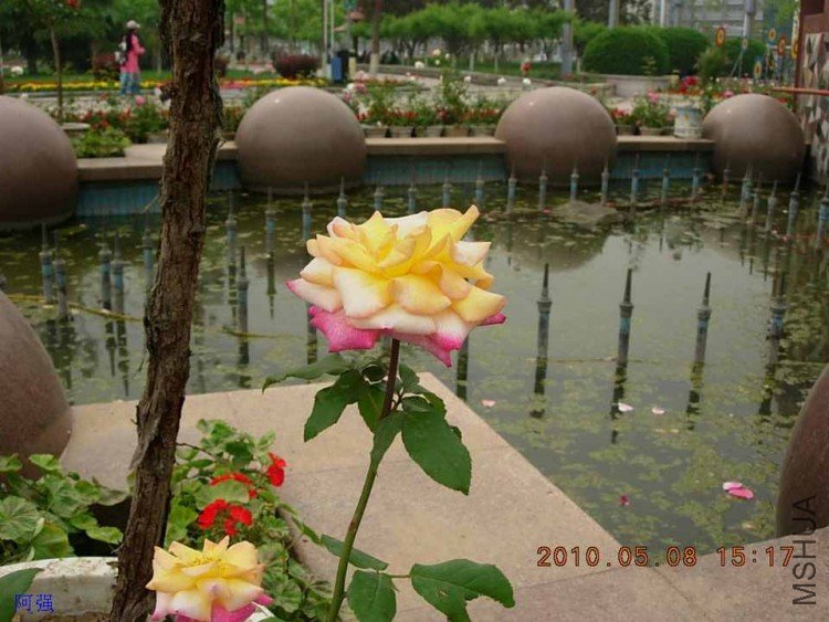 nEO_IMG_�¼���չ 139.jpg