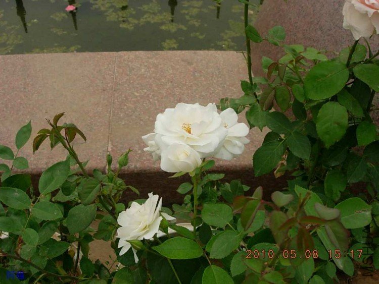 nEO_IMG_�¼���չ 136.jpg