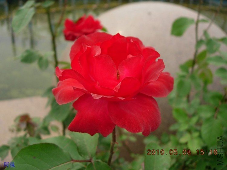 nEO_IMG_�¼���չ 134.jpg