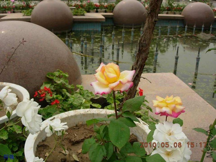 nEO_IMG_�¼���չ 140.jpg