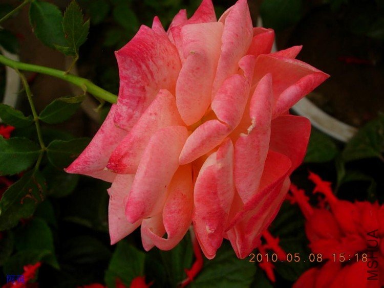 nEO_IMG_�¼���չ 148.jpg