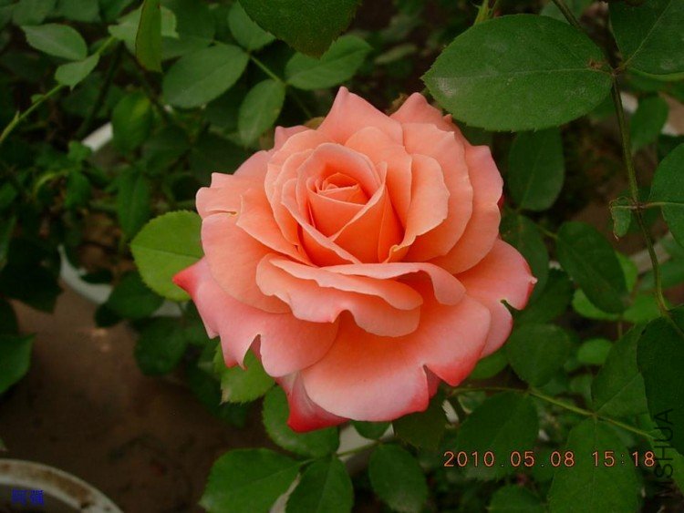 nEO_IMG_�¼���չ 145.jpg