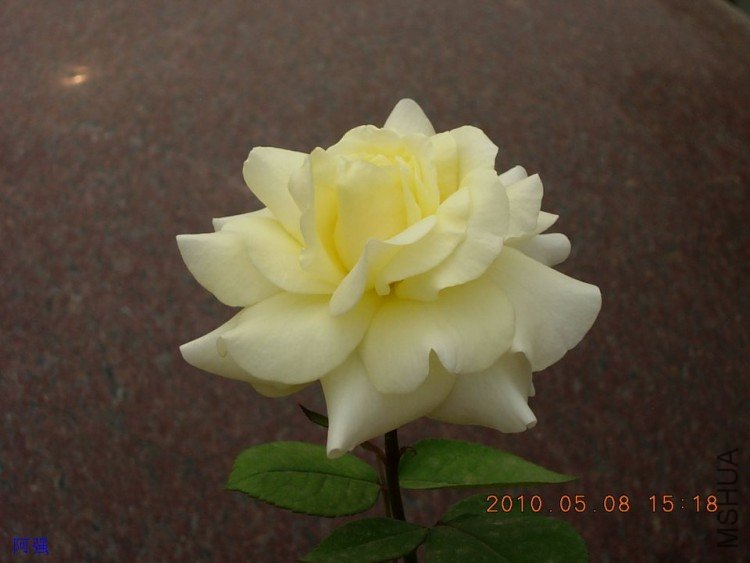 nEO_IMG_�¼���չ 144.jpg