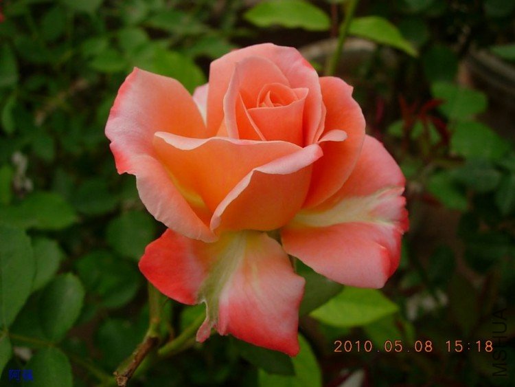 nEO_IMG_�¼���չ 146.jpg
