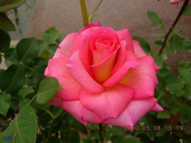 nEO_IMG_�¼���չ 150.jpg
