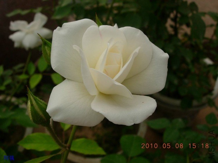 nEO_IMG_�¼���չ 147.jpg