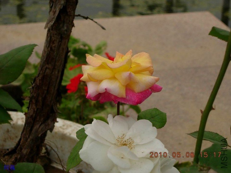 nEO_IMG_�¼���չ 141.jpg