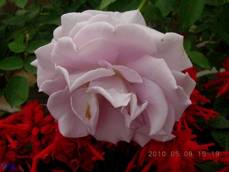 nEO_IMG_�¼���չ 151.jpg