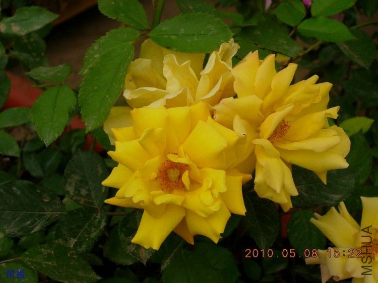 nEO_IMG_�¼���չ 160.jpg