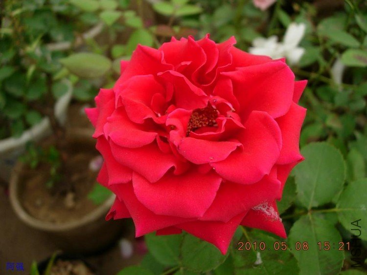 nEO_IMG_�¼���չ 158.jpg
