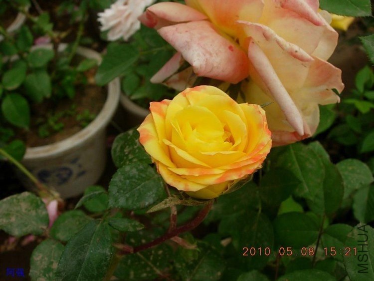 nEO_IMG_�¼���չ 157.jpg