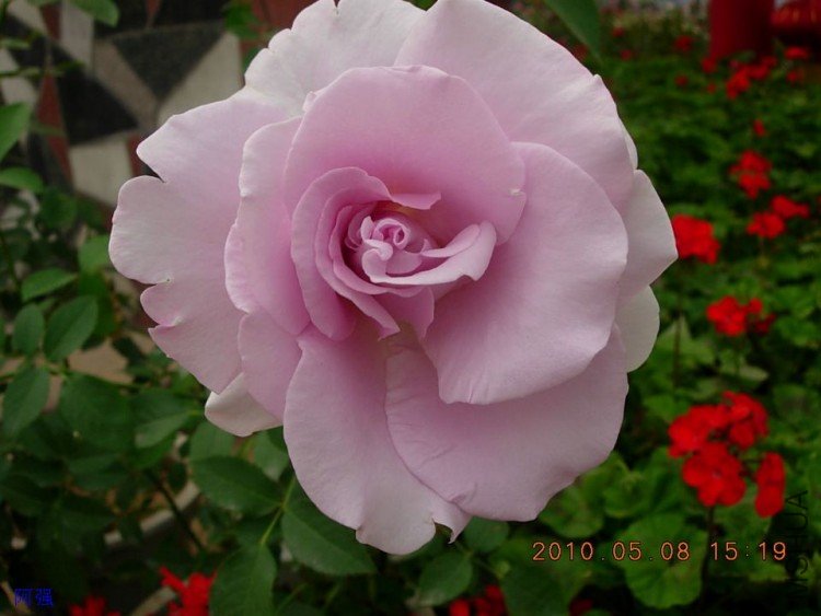 nEO_IMG_�¼���չ 152.jpg