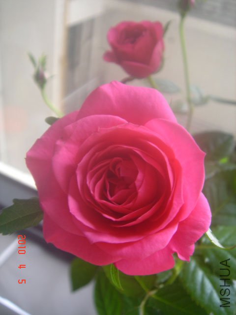 DSC01351.JPG