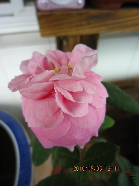 IMG_0625.jpg