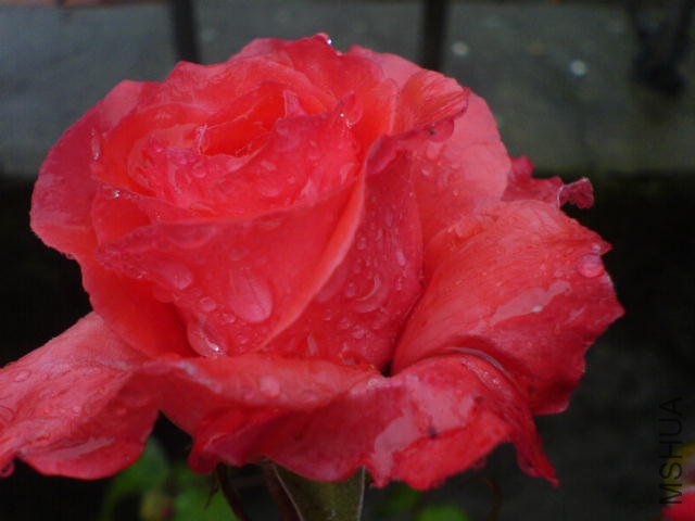 DSC03360.JPG