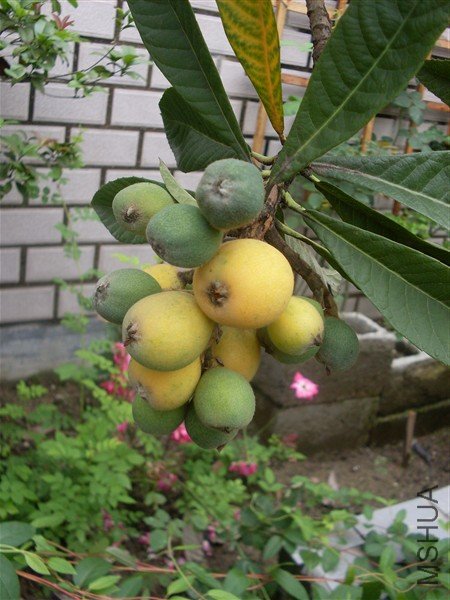 03.jpg