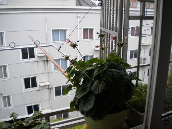 DSCN0073.JPG