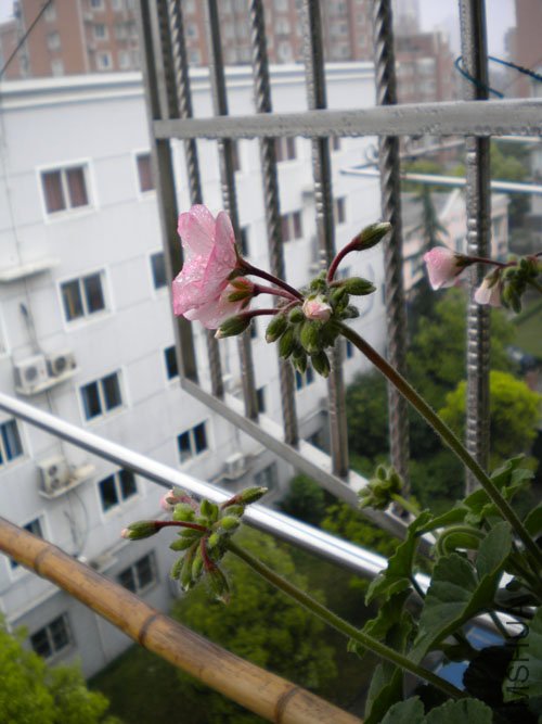 DSCN0077.JPG