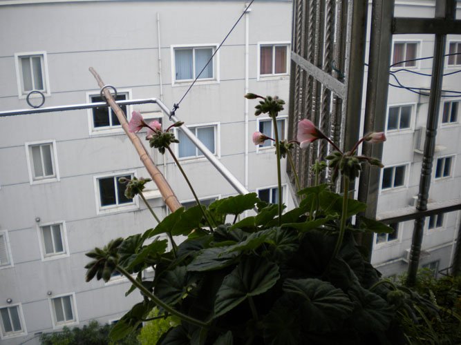 DSCN0087.JPG