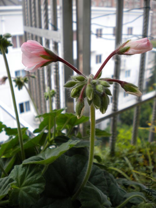 DSCN0128.JPG