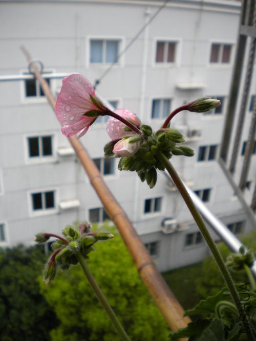 DSCN0129.JPG