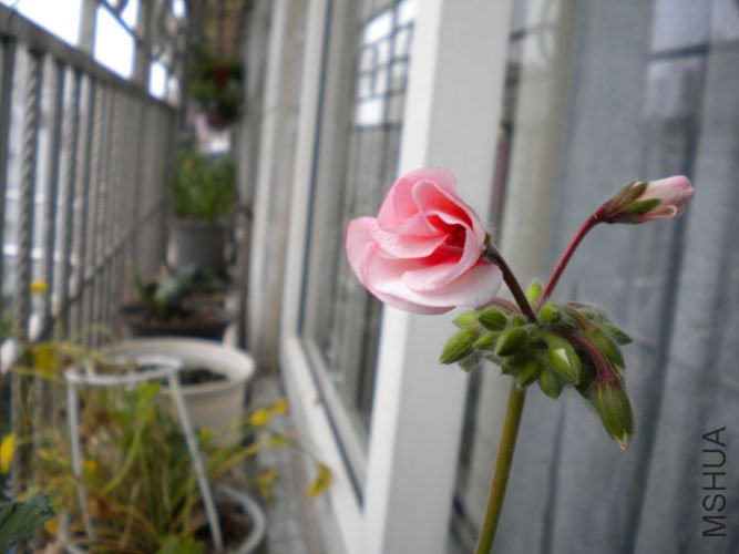 DSCN0135.JPG