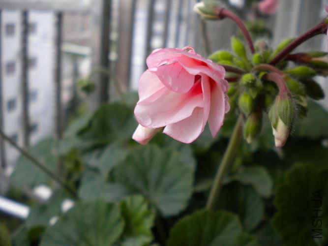 DSCN0139.JPG