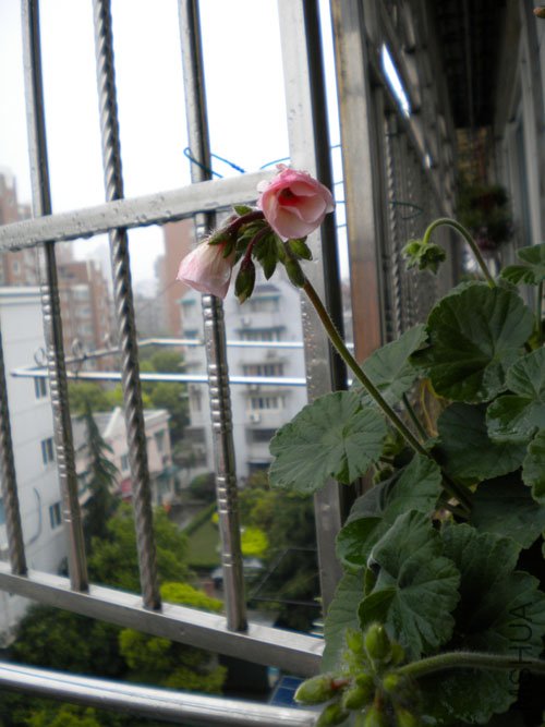 DSCN0142.JPG