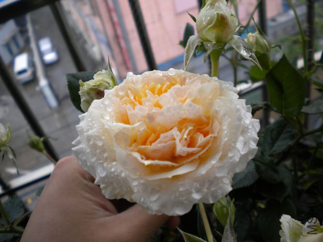 DSCN0148.JPG
