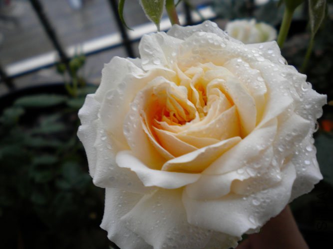 DSCN0151.JPG