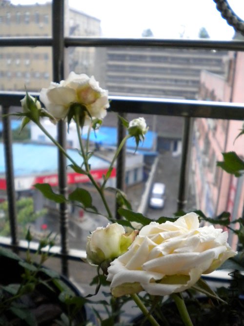 DSCN0155.JPG