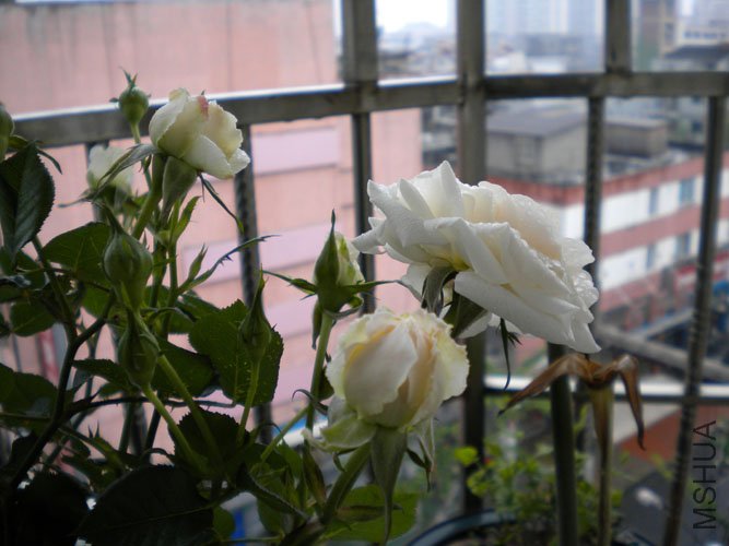 DSCN0154.JPG