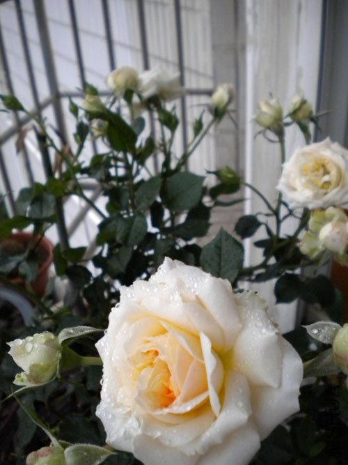 DSCN0156.JPG