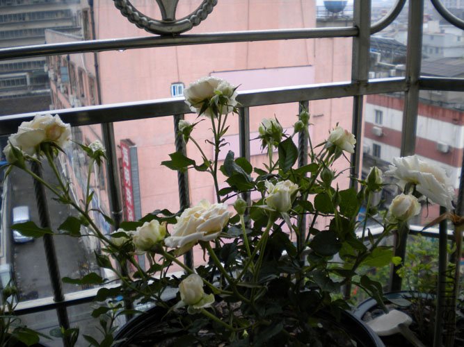 DSCN0152.JPG
