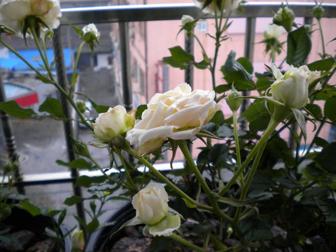 DSCN0157.JPG