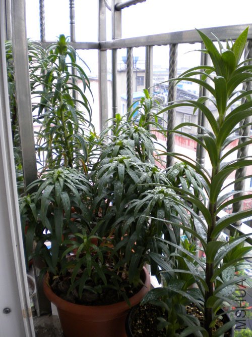 DSCN0134.JPG