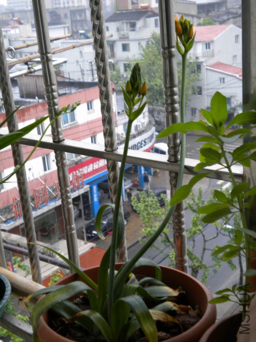 DSCN0188.JPG