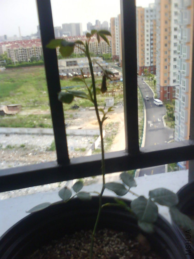 DSC00624.JPG