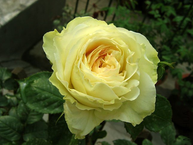 ���� ����.JPG