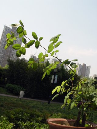 DSC00849.jpg