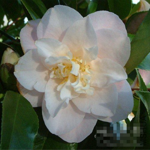 ����������Erin Farmer��_����.jpg