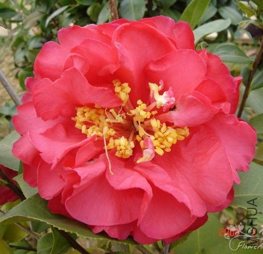 ���ɿɣ�Ernest Aycock��_����.jpg